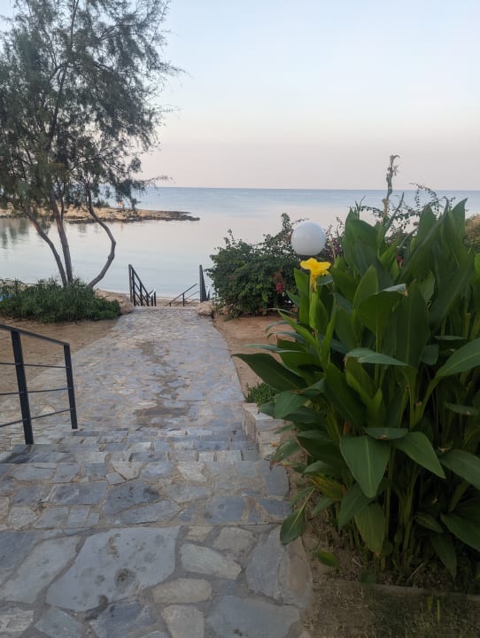 Gartenanlage Crystal Springs Beach Hotel