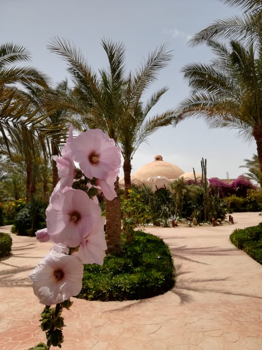 Außenansicht Dream Lagoon Resort & Aqua Park