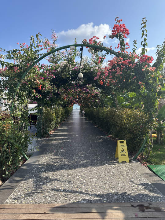 Ausblick Rubi Platinum Sign