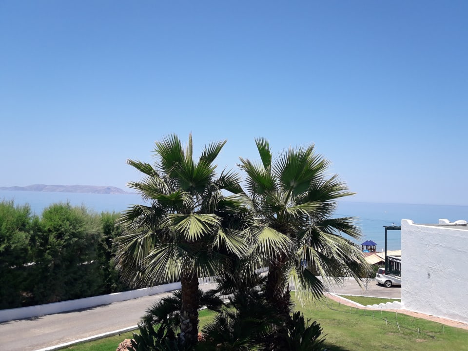 Zimmer Mitsis Selection Rinela