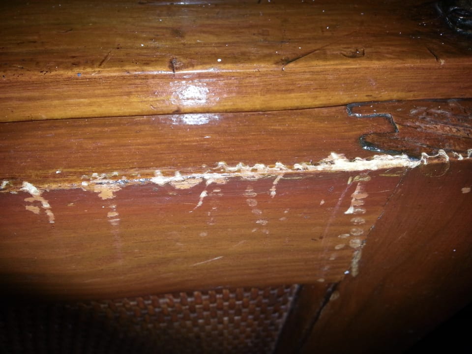 Zimmer Marien Puerto Plata