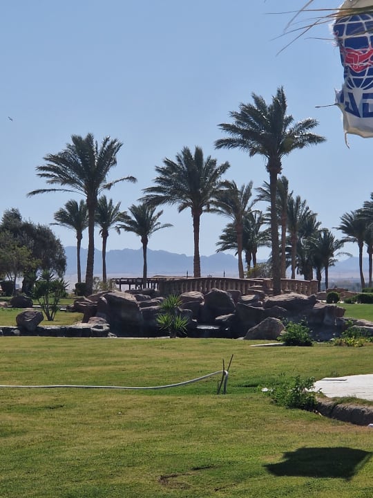 Gartenanlage Palm Royale Resort - Soma Bay