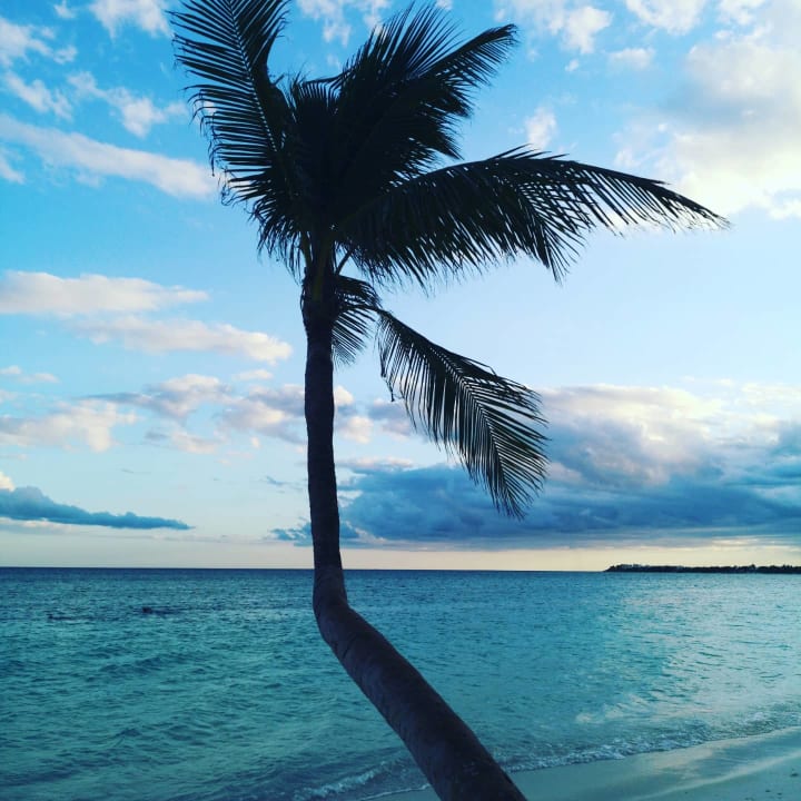 Strand Akumal Bay Beach & Wellness Resort