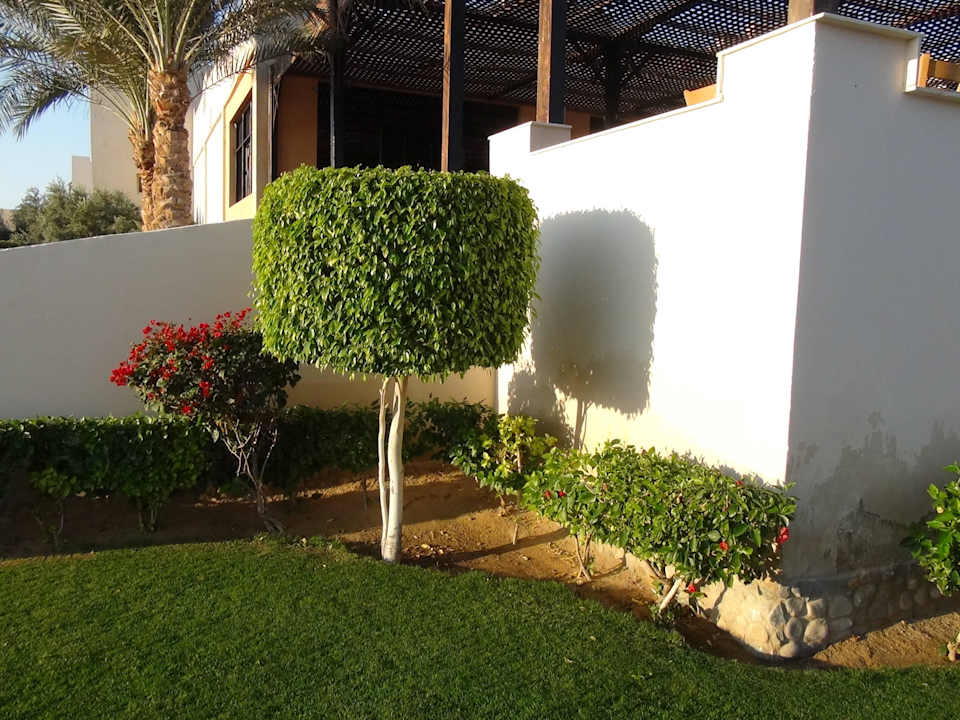 Ogród Three Corners Sea Beach Resort