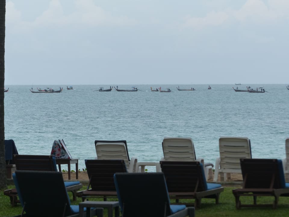 Quallenalarm am Hotelstrand Dusit Thani Krabi Beach Resort