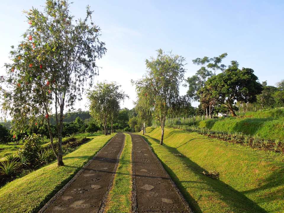 Garden View Bagus Agro Pelaga