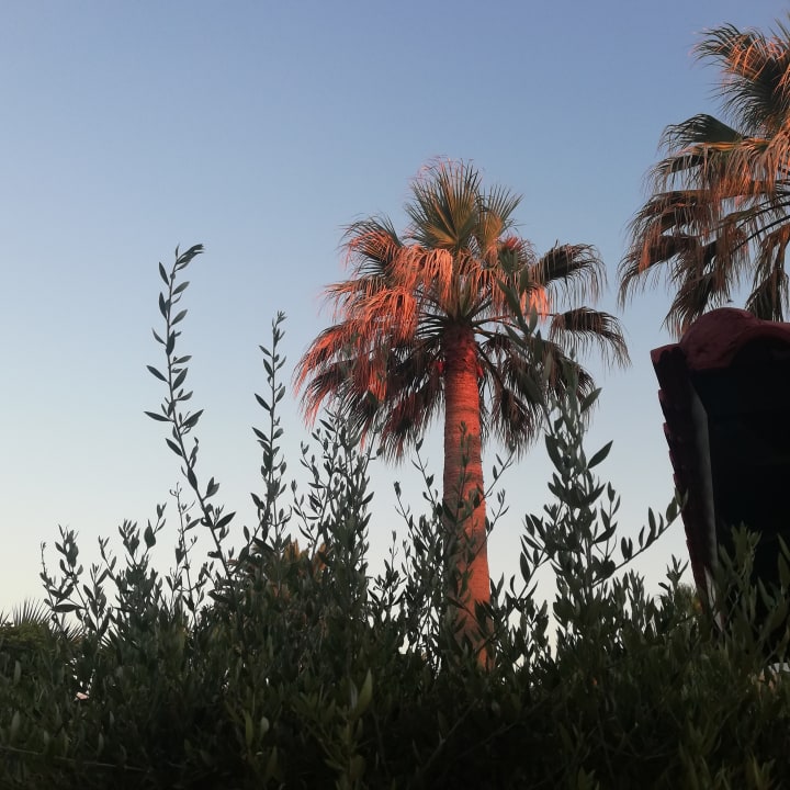 Gartenanlage Anissa Beach & Village