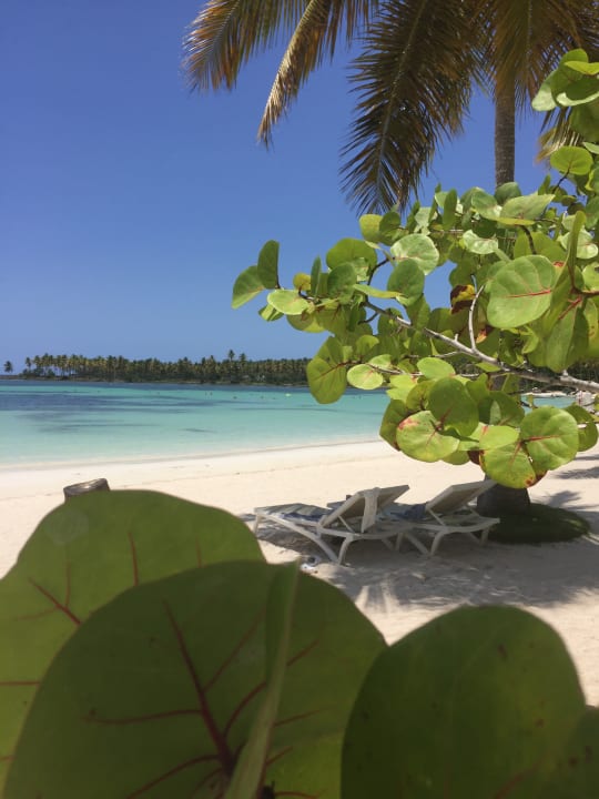 Strand Wyndham Alltra Samana