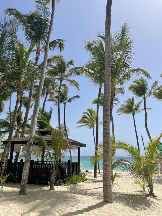 Strand Hotel Riu Palace Punta Cana