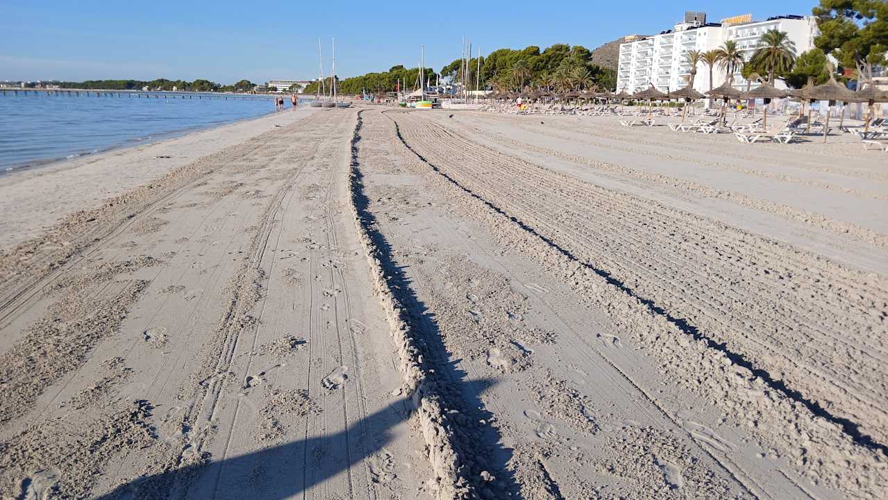 Strand Globales Condes de Alcudia