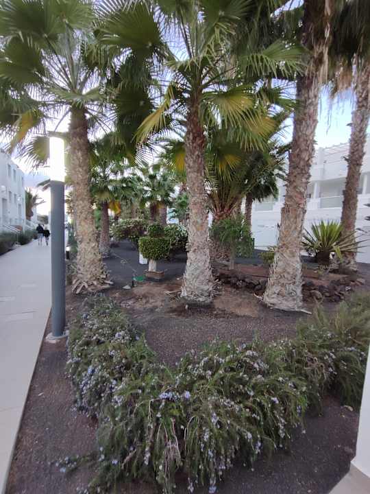 Gartenanlage Sentido Aequora Lanzarote Suite