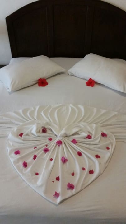 Zimmer Biyadhoo Island Resort