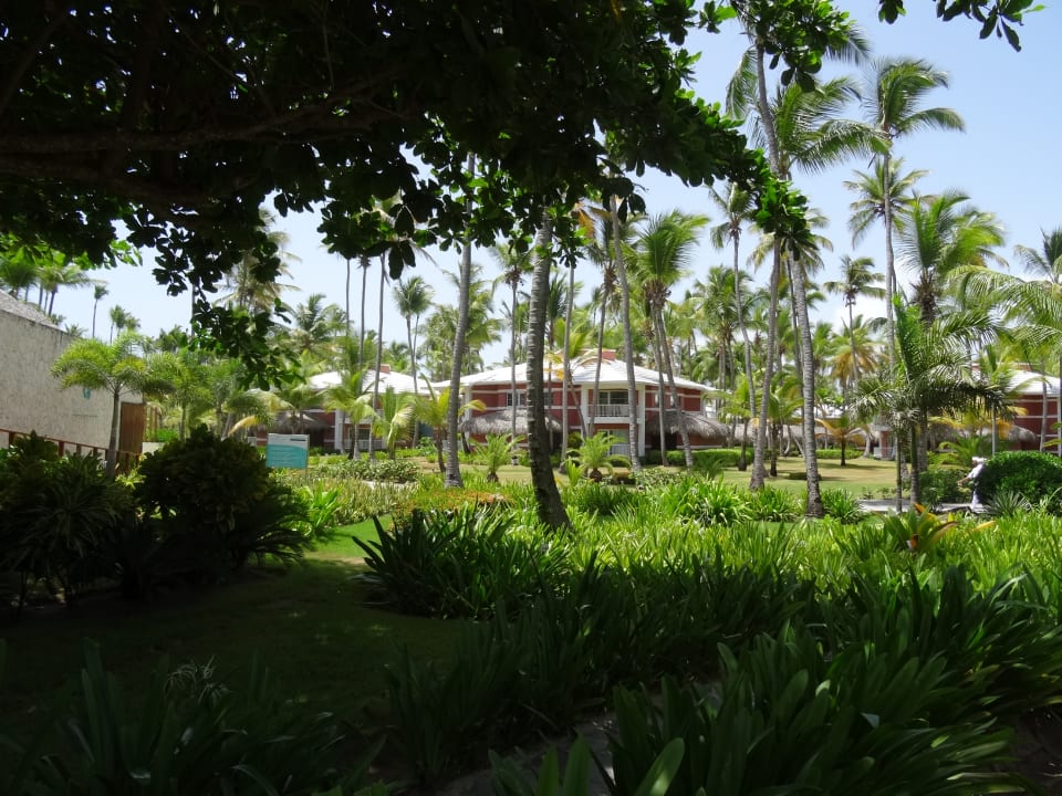 Gartenanlage Grand Palladium Select Bávaro Resort & Spa