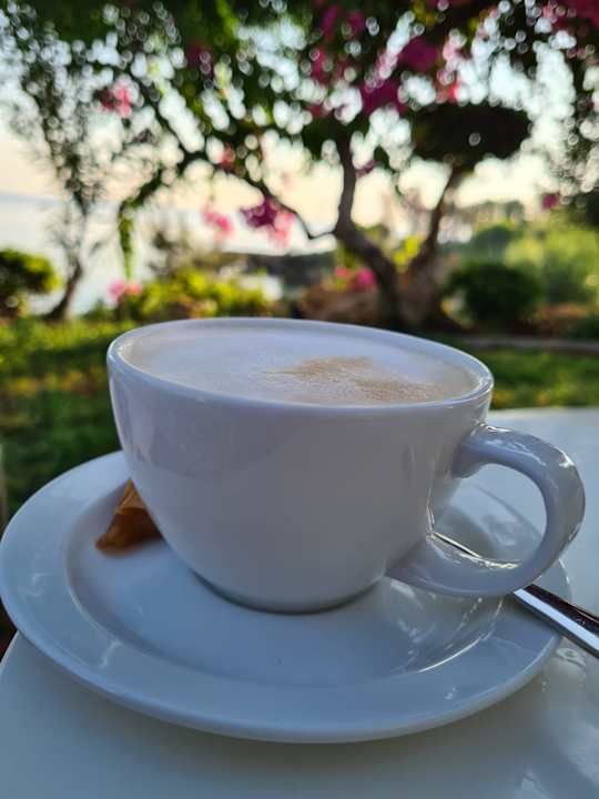 Gastro Crystal Springs Beach Hotel