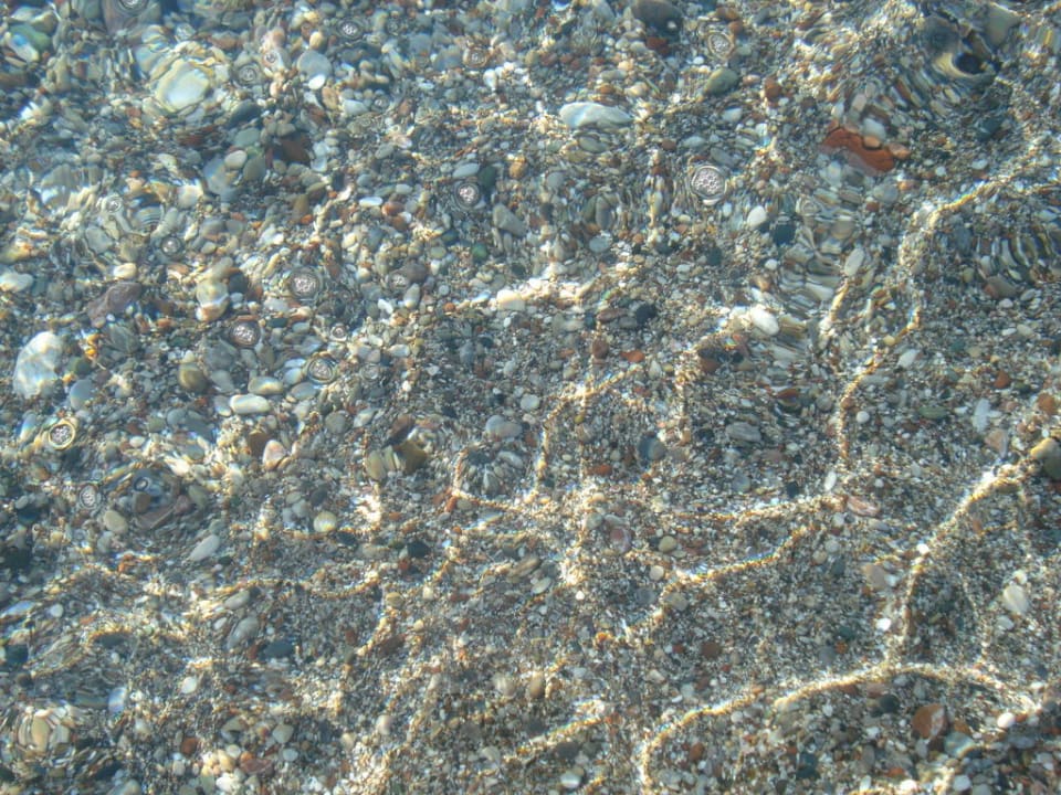 Wasserqualität Mitsis Rodos Village