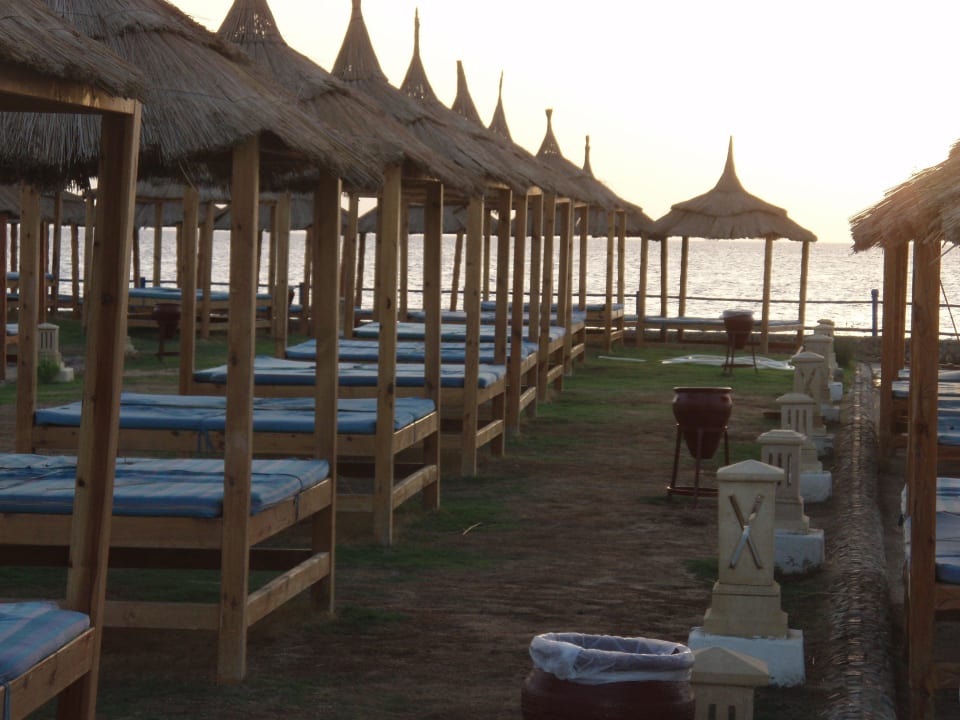 Viele Liegen Beach Albatros Resort