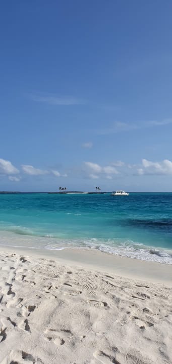 Strand The Standard Maldives