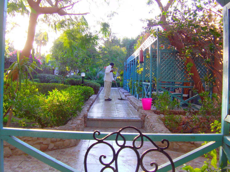 Aussicht aus unserem Bungalow Giftun Azur Resort