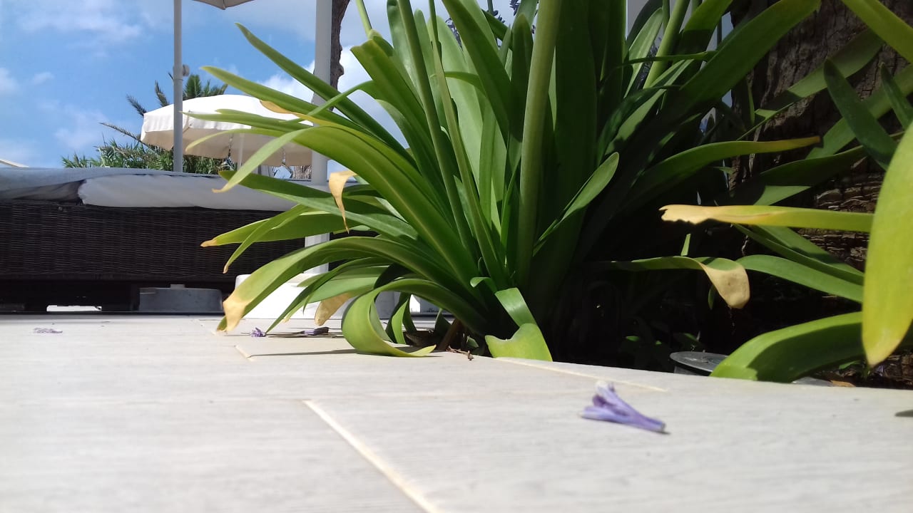 Sonstiges azuLine Hoteles Mar Amantis & II