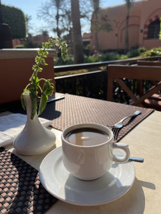 Gastro Jaz Makadi Oasis Resort