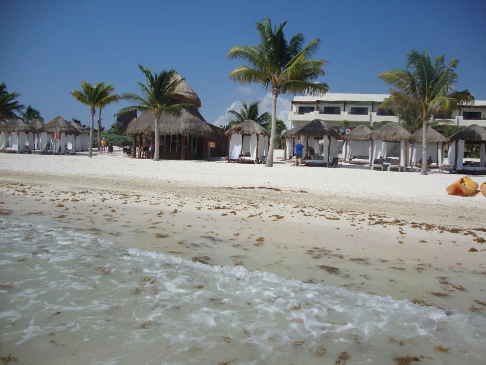 Hotel Catalonia Playa Maroma Catalonia Playa Maroma