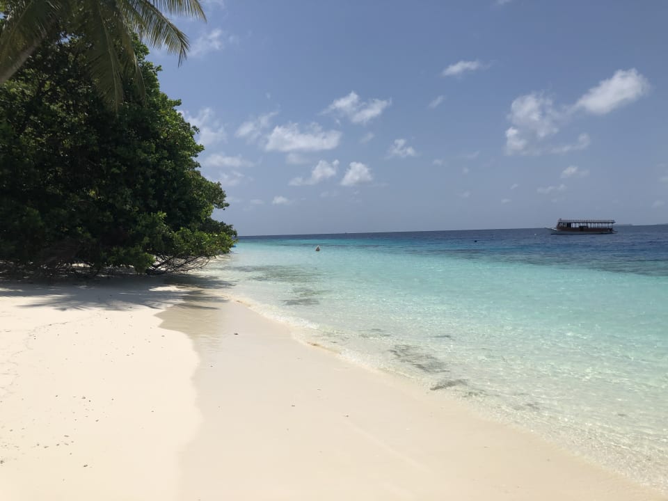 Strand Fihalhohi Maldives