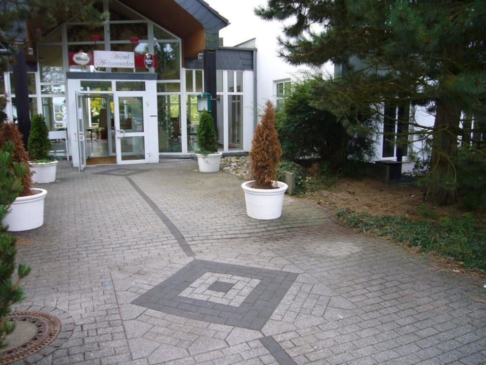 Vertrockende Gewächse Hotel Ambassador