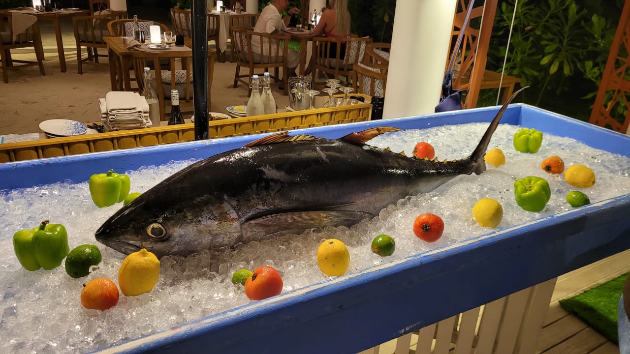 Gastro TUI BLUE Olhuveli Romance