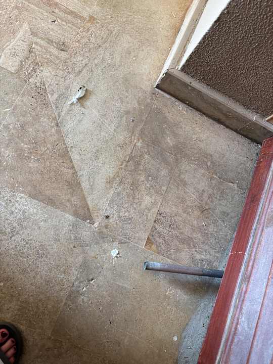 Zimmer Calimera Serra Palace