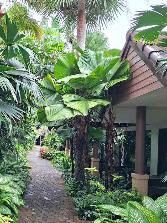 Gartenanlage Laluna Hotel & Resort