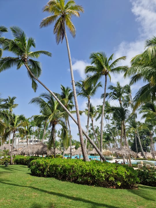 Pool Meliá Punta Cana Beach Resort - A Wellness Inclusive For Adults Only