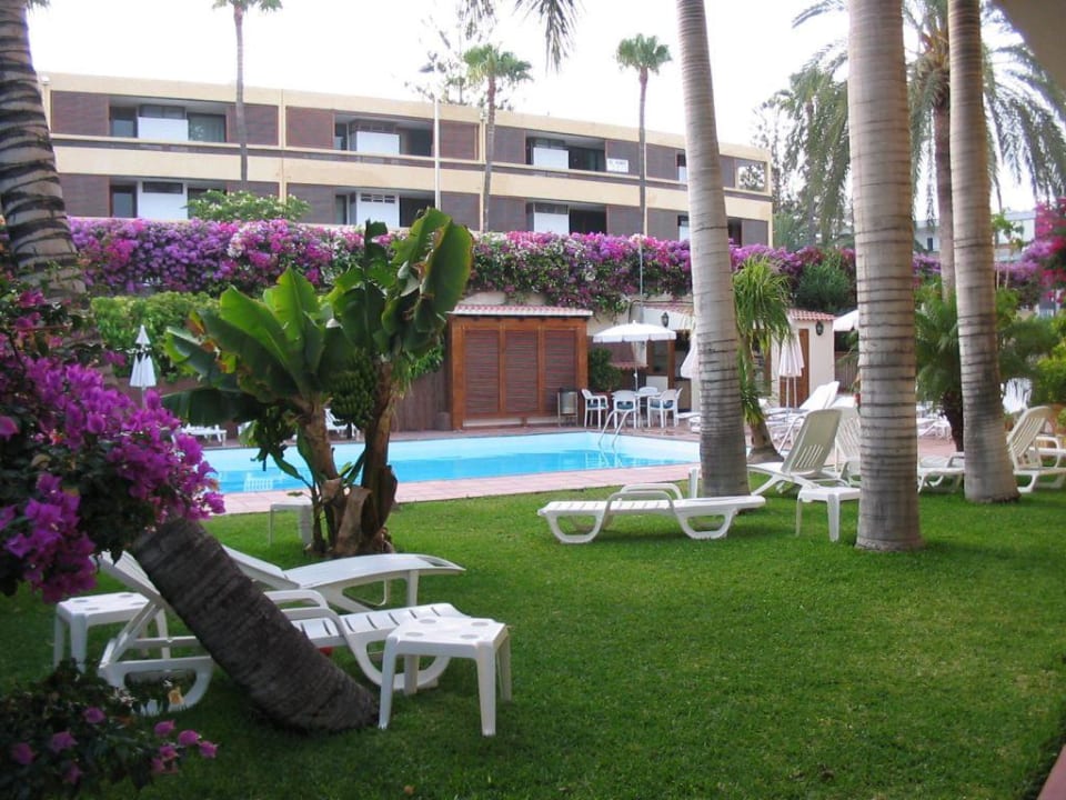 Garten und Pool Apartamentos Nogalera