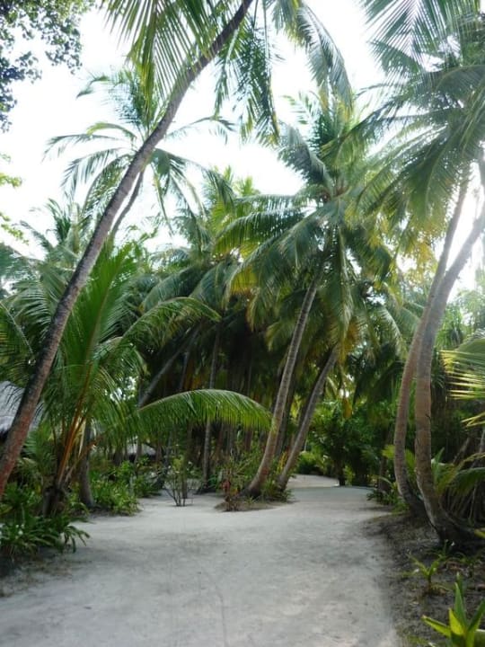 Weg durch die Anlage Kuramathi Maldives