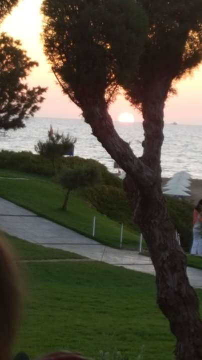 Sonnenuntergang in der Astgabel Mitsis Selection Rinela