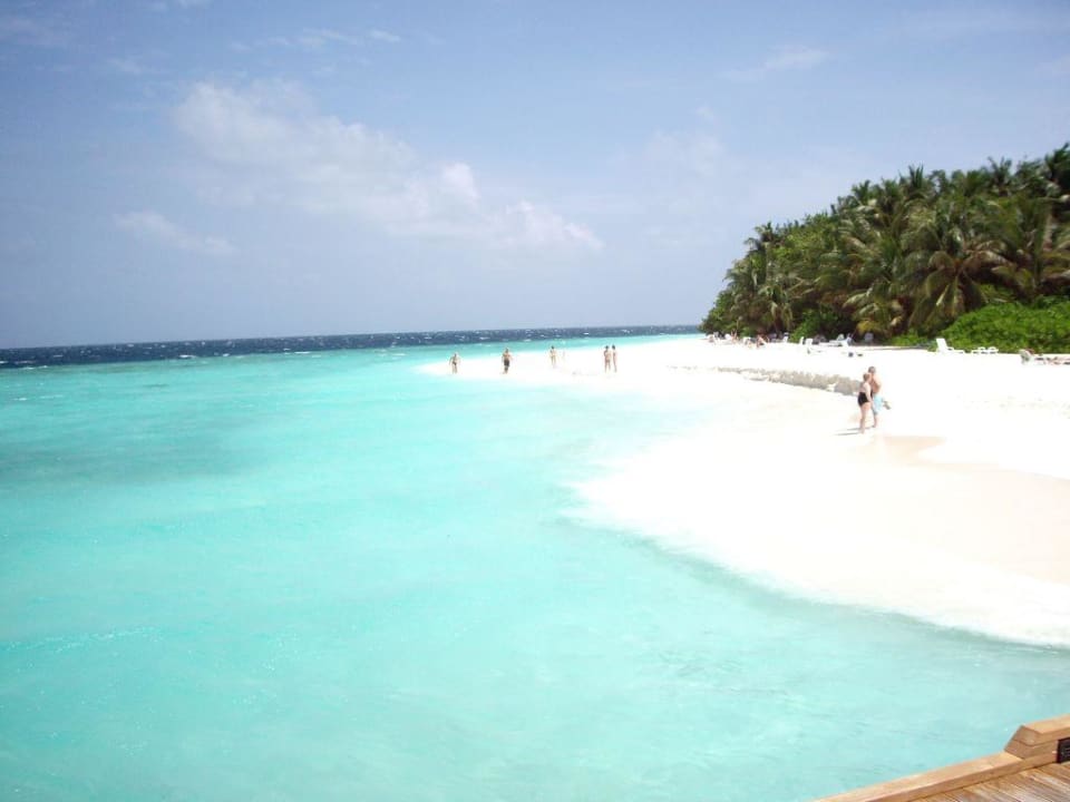 Der Strand Fihalhohi Maldives