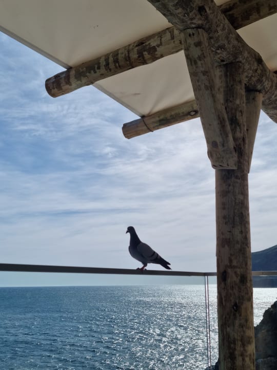 Gastro Sentido Galosol