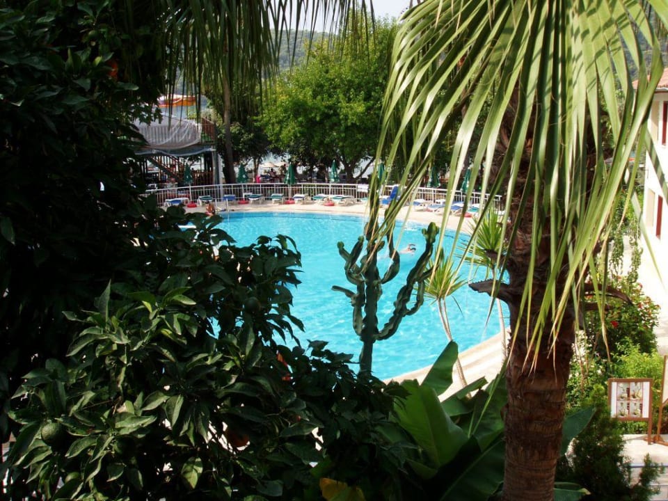 Poollandschaft Hotel Meri