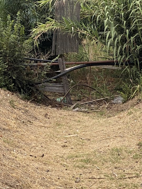 Gartenanlage Hotel Garden Beach Cala Sinzias