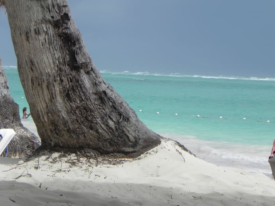 Bilck aufs Meer Grand Palladium Select Bávaro Resort & Spa