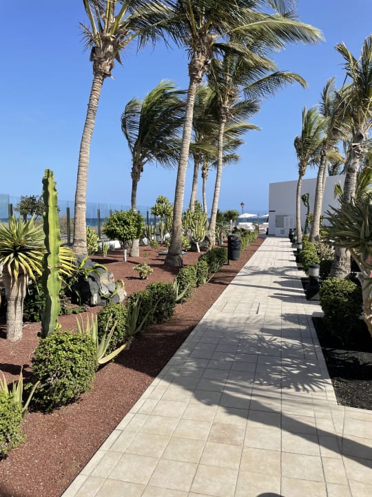 Gartenanlage Hotel Las Costas