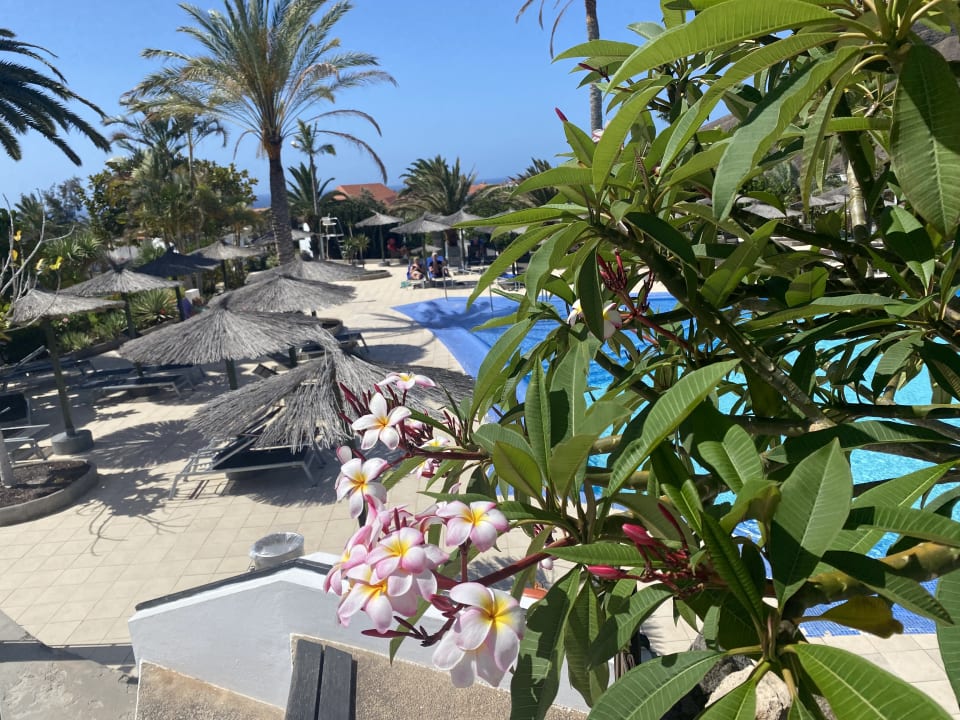 Gartenanlage allsun App.-Hotel Esquinzo Beach