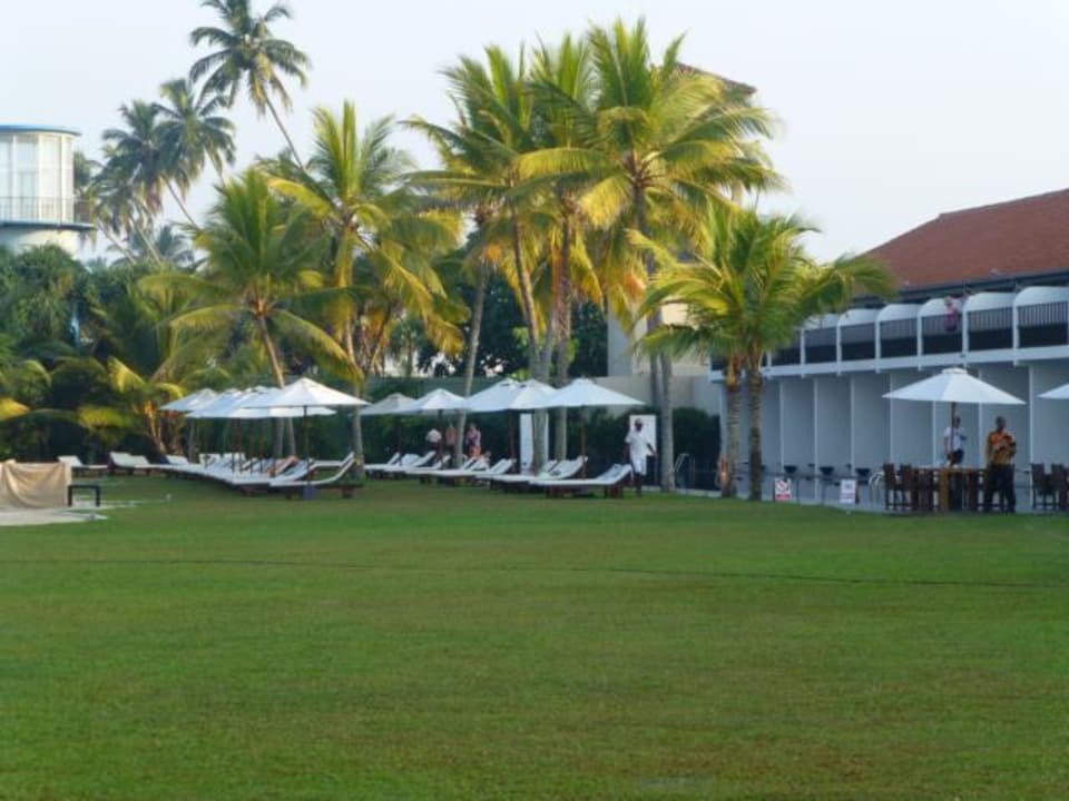 Hotel the Surf EKHO Surf