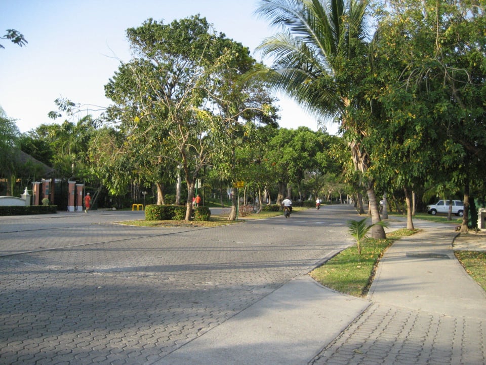 Straße vorm Hotel Hotel Riu Palace Riviera Maya