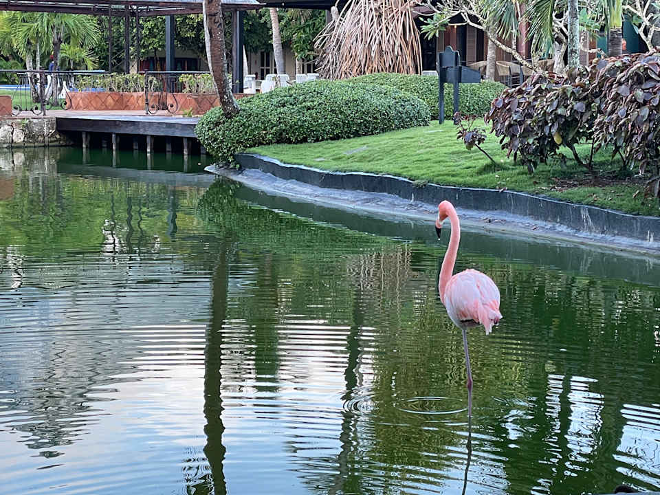 Außenansicht Tropical Deluxe Princess