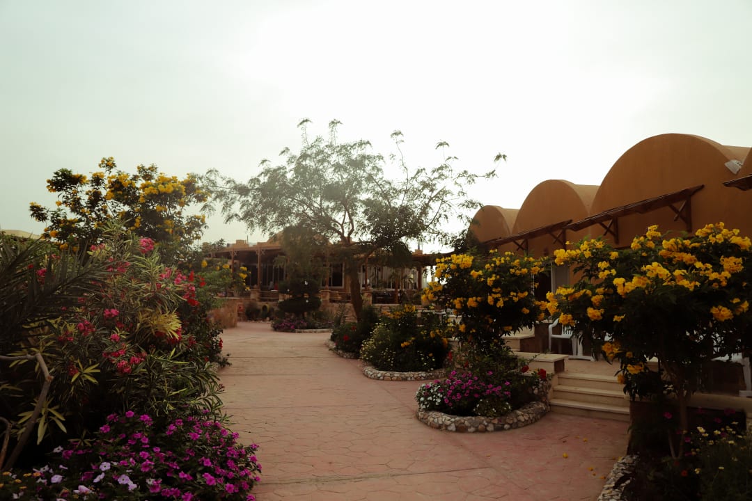 Gartenanlage Silver Beach Boutique Hotel