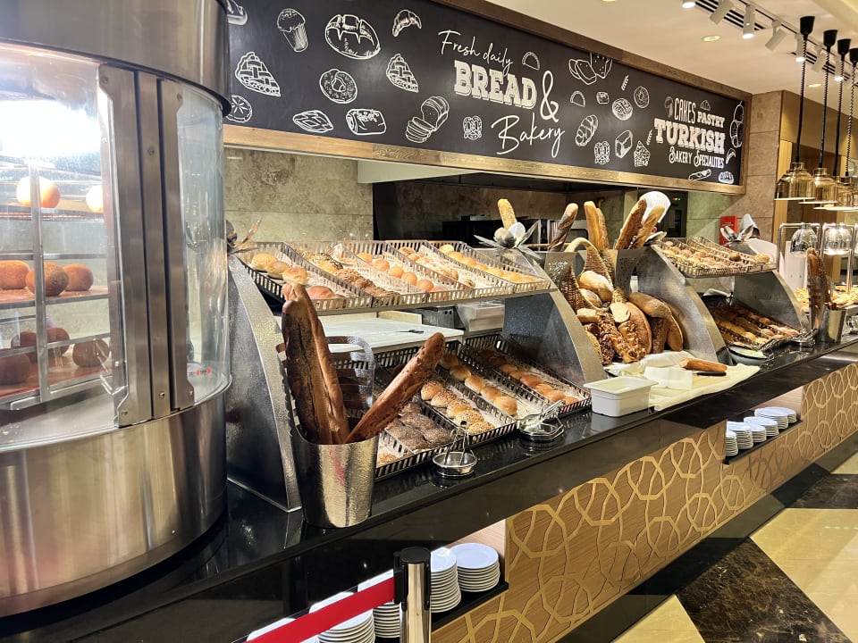 Gastro Papillon Ayscha