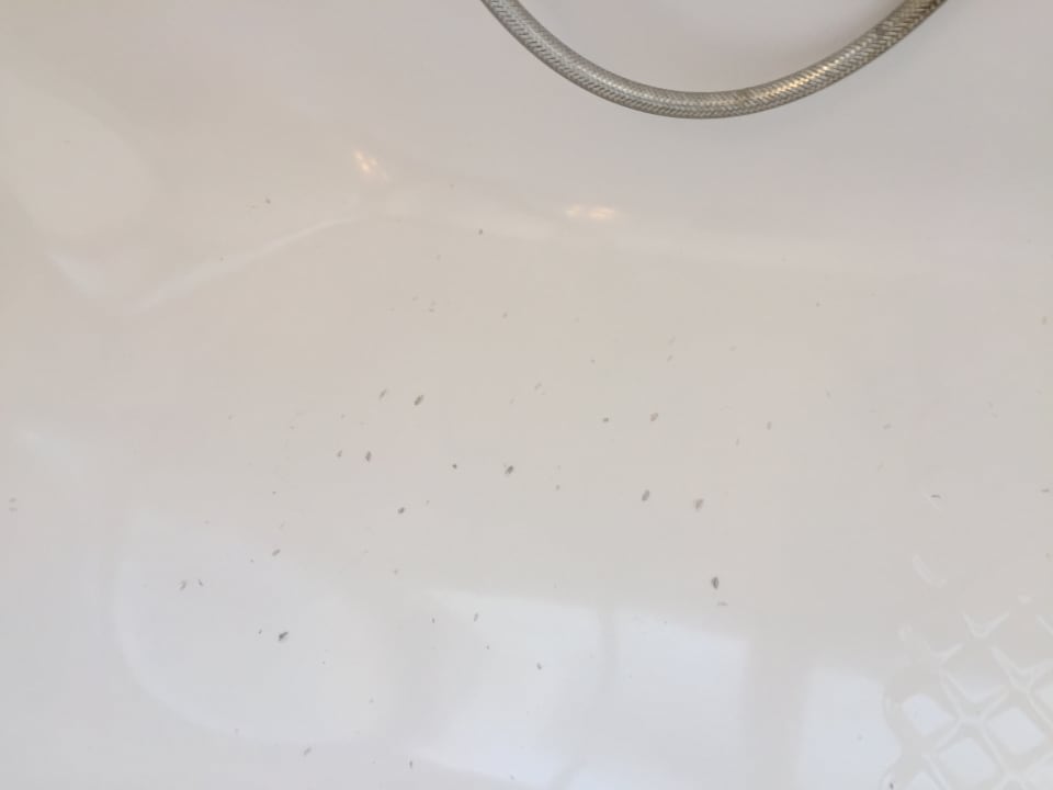 Zimmer NH Collection Roma Giustiniano