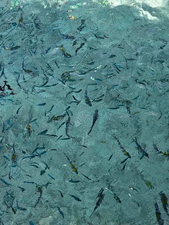 Sonstiges Adaaran Select Meedhupparu Island Resort - Premium All Inclusive