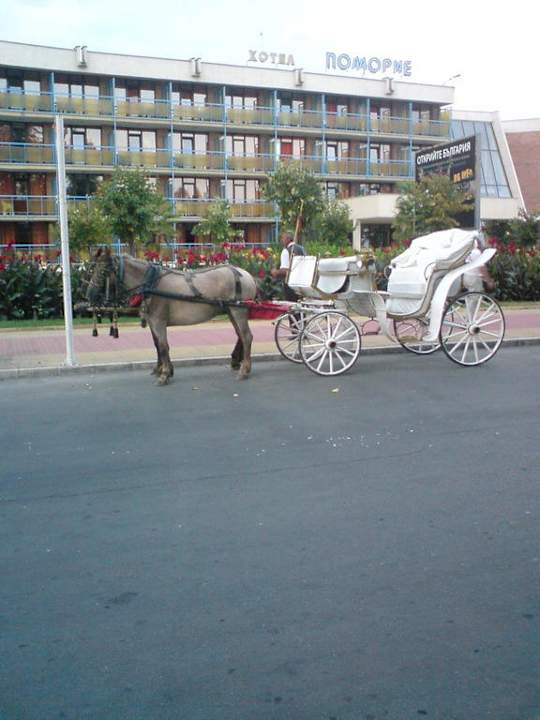 Možnosť prejsť sa na koči Hotel Sredetz