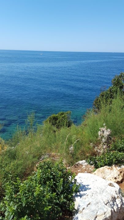 Hotel Isabella Pool, Außenanlage, Inselrundgag Isabella Island Resort Valamar Collection